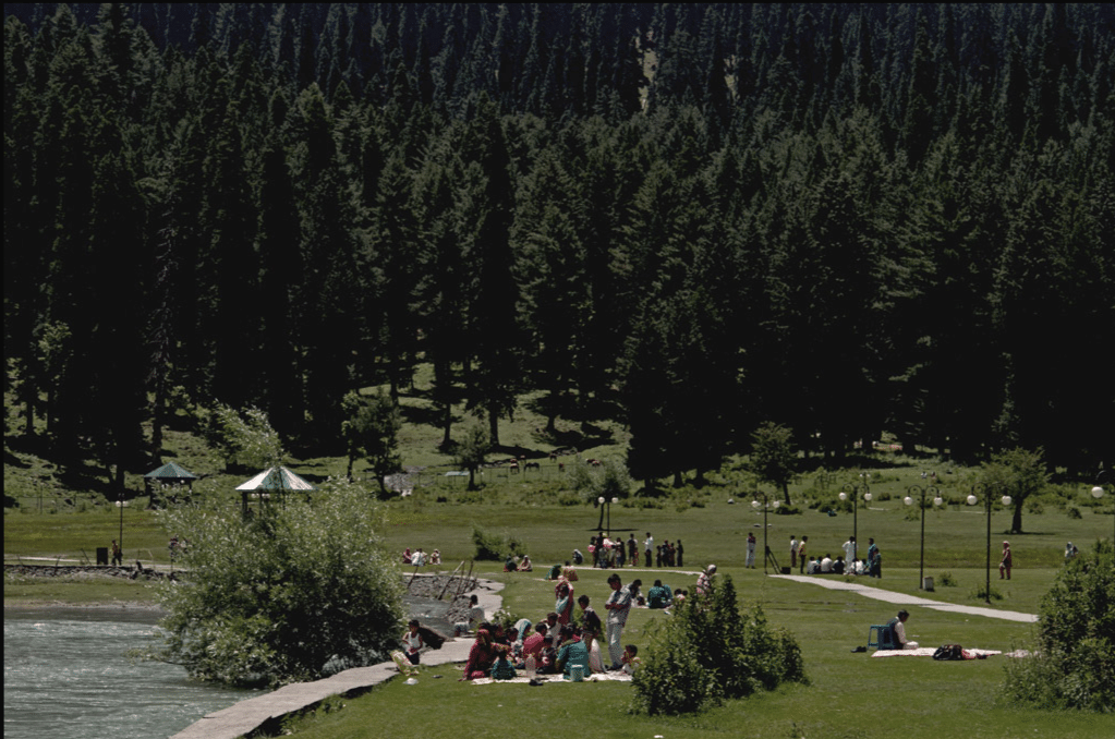 Picnicking