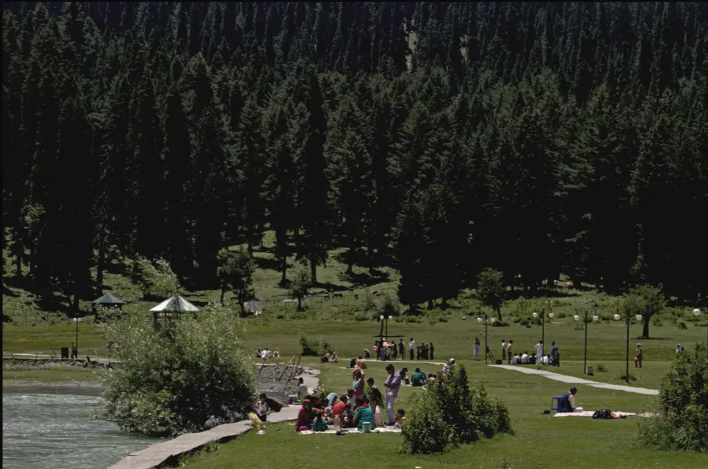 Picnicking
