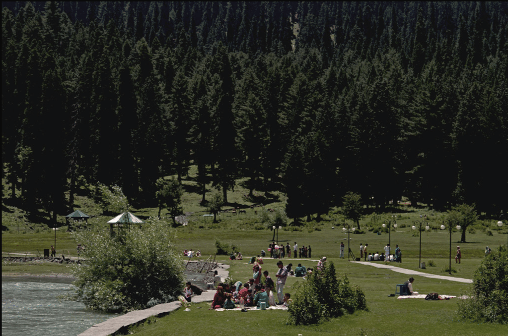 Picnicking