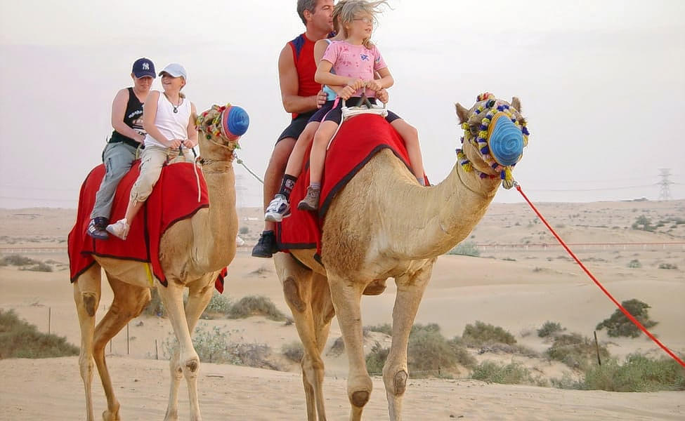 See the captivating beauty of the Arabian wilderness with the desert safari experience
