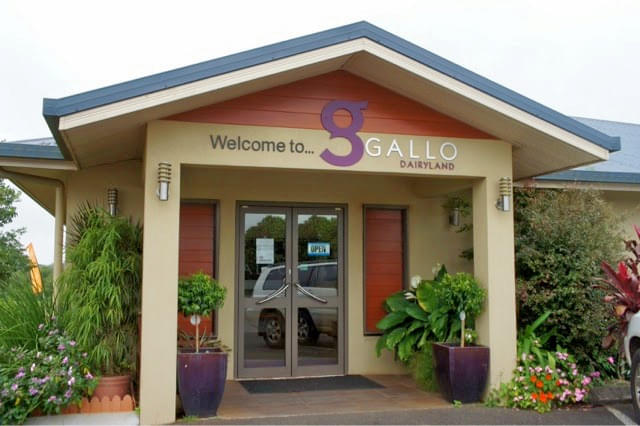 Gallo Dairy Land Overview