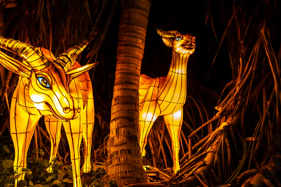 Dubai Garden Glow Ticket Image