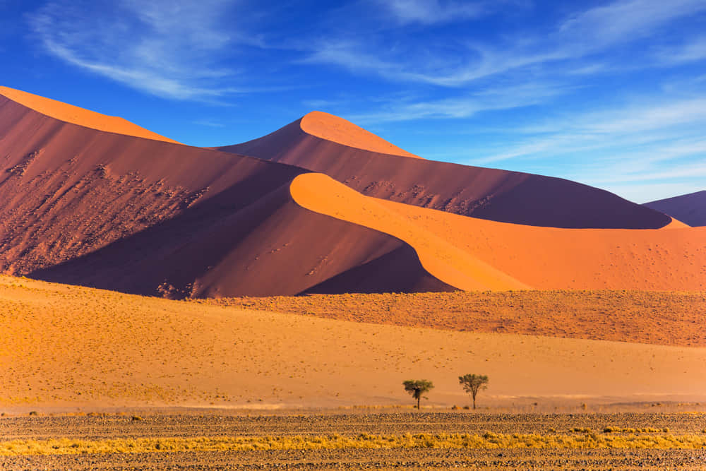 Desert National Park