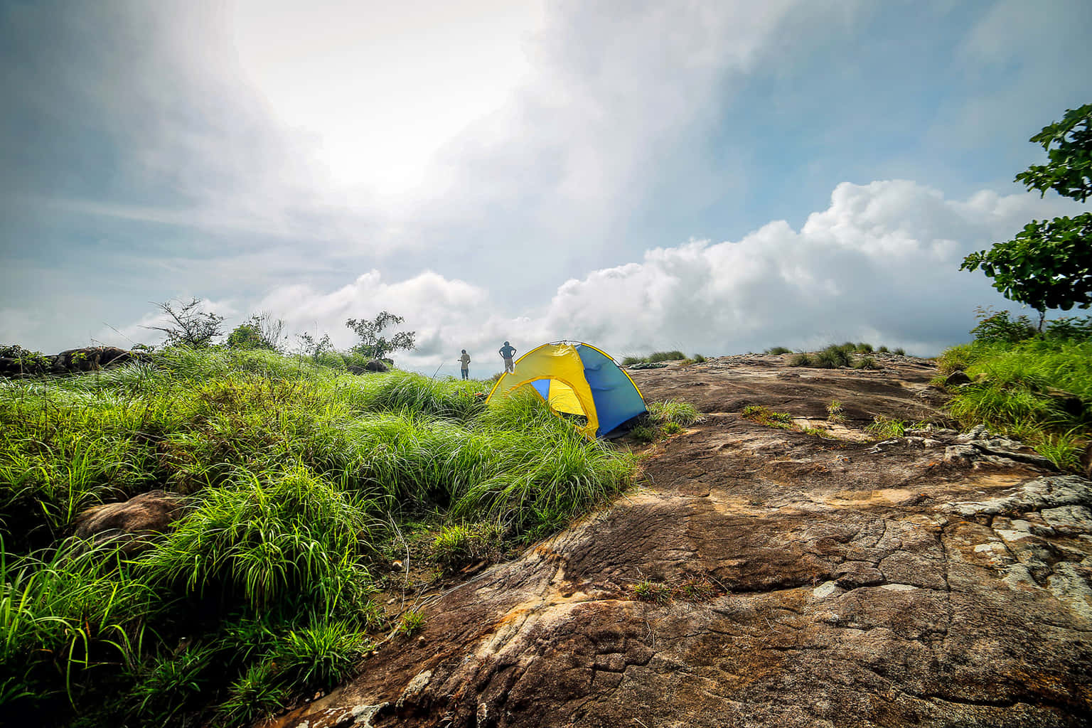 Camping with Trekking and Jeep Ride at Wayanad