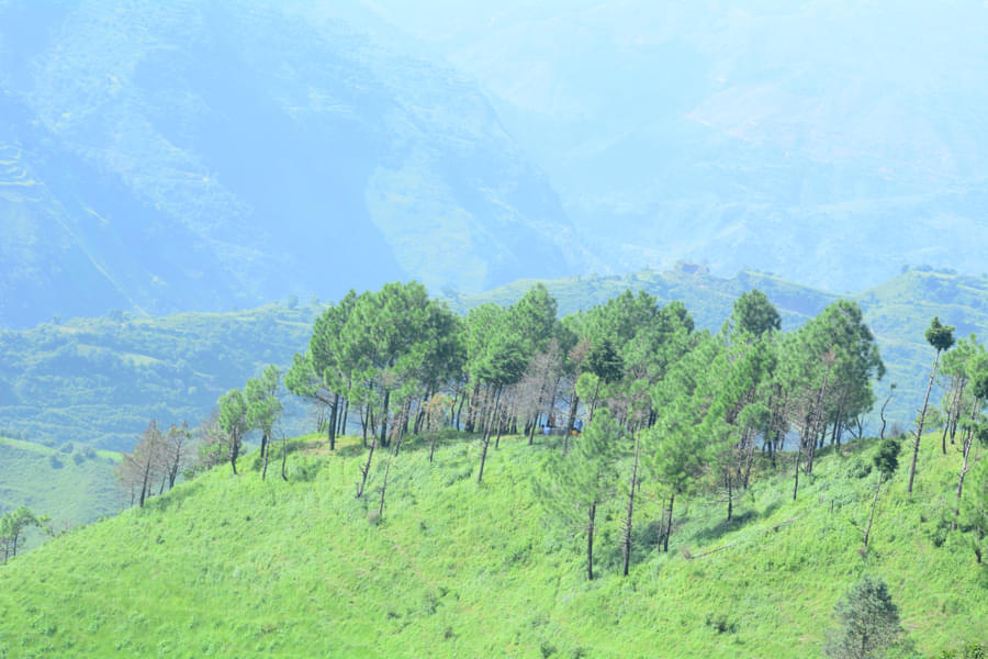 chakrata tour package