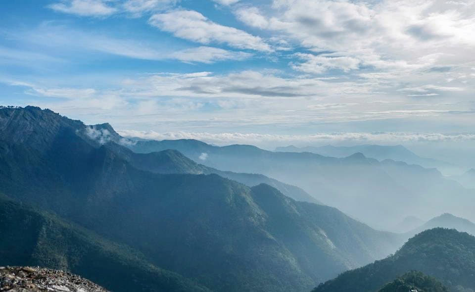 Scenic Trek to Canopy Hill Vattakanal #3