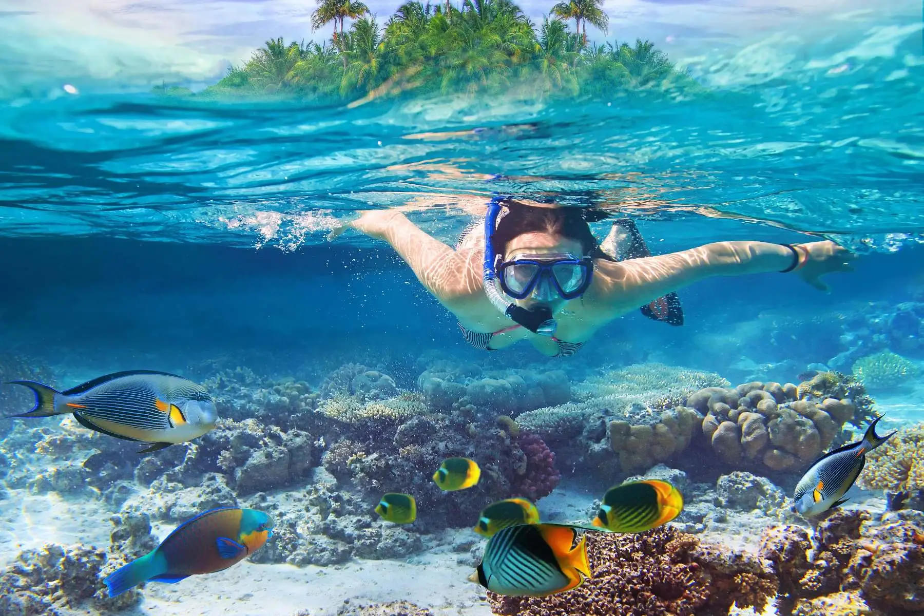 Indulge in a Snorkelling Adventure