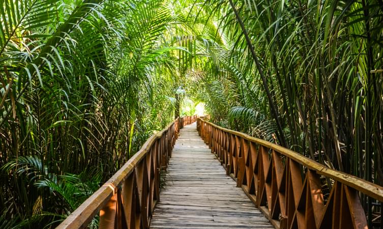 Mangrove Walkway Dhanih Nallah