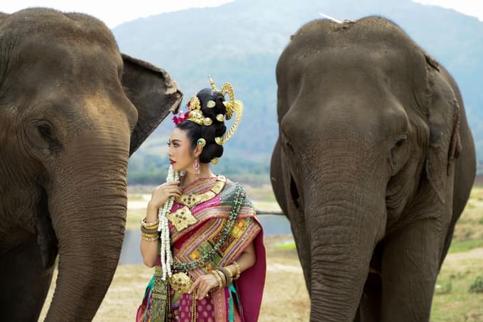 Chiang Mai Elephant Sanctuaries