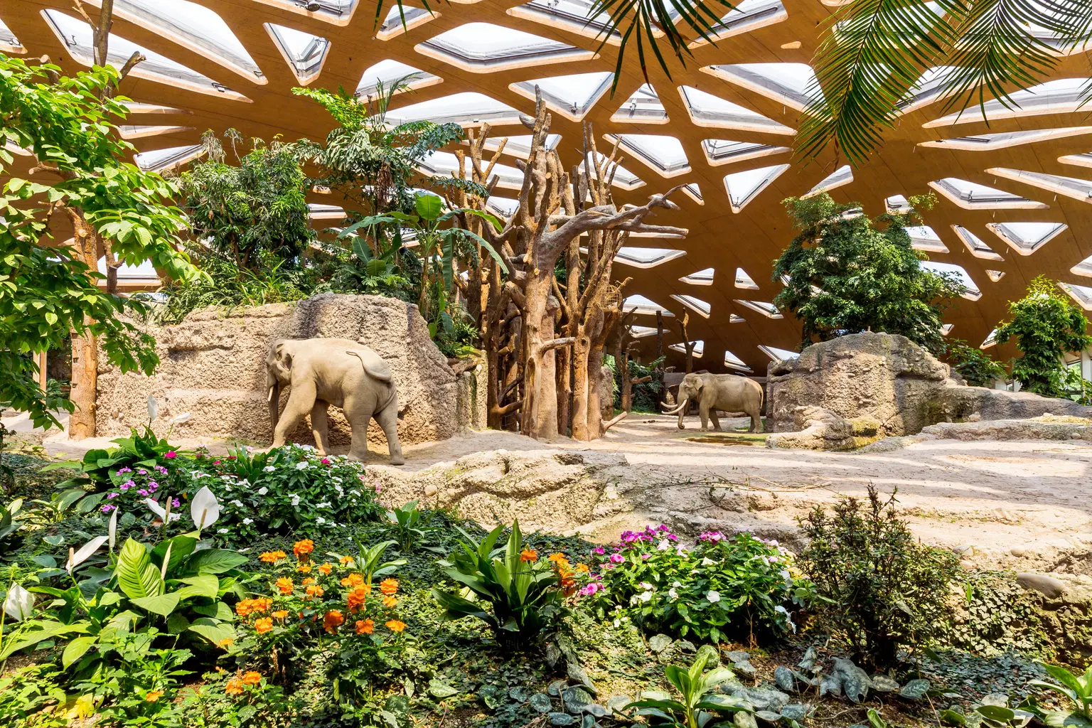 Zurich Zoo