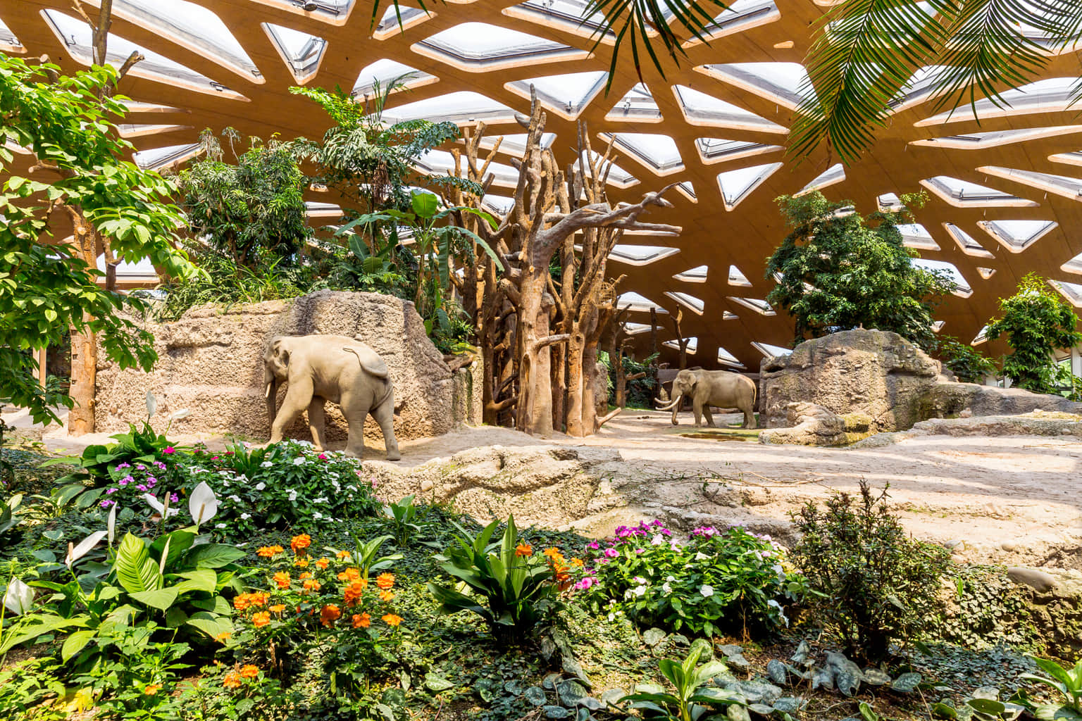 Zurich Zoo