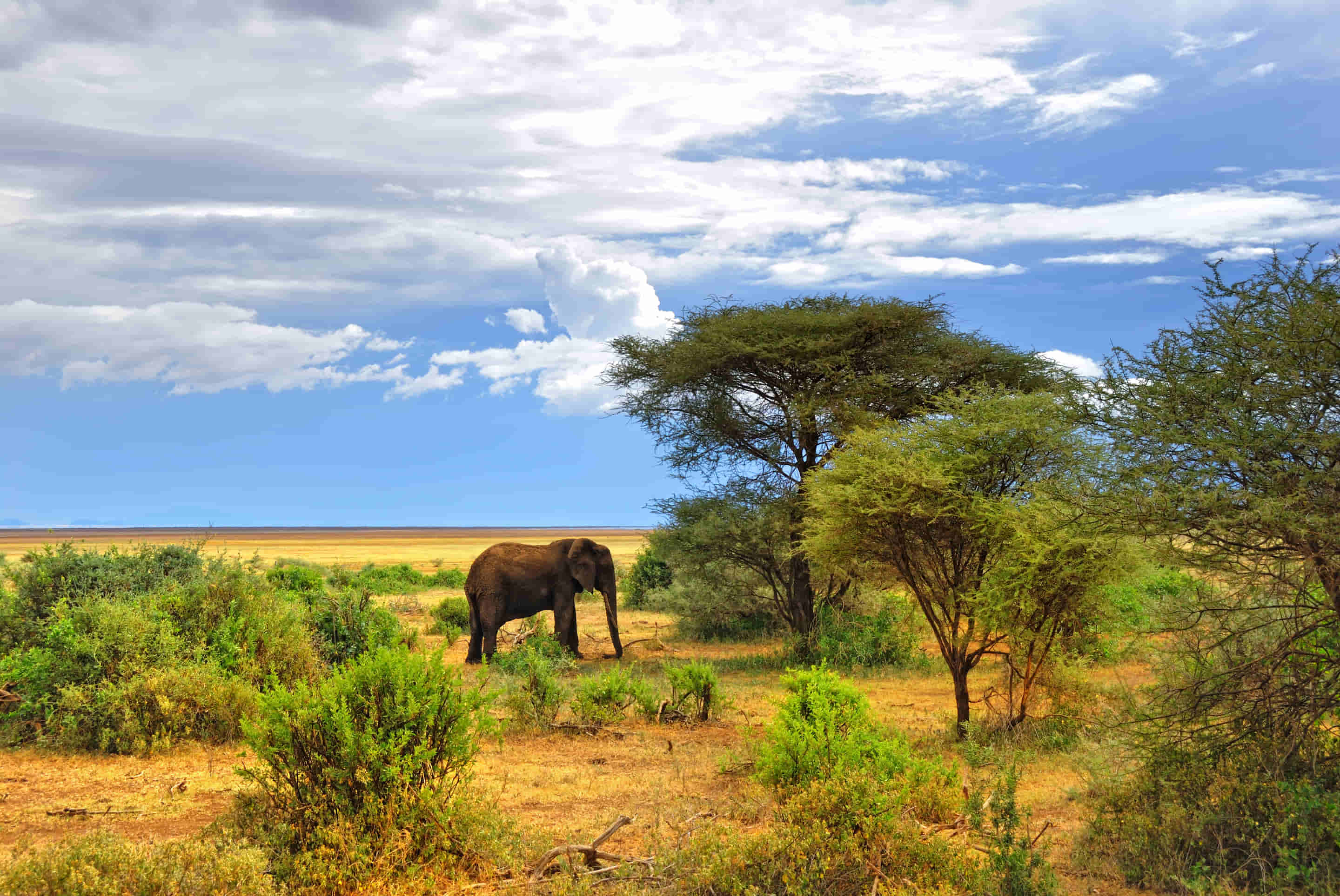 Lake Manyara National Park Tour Packages