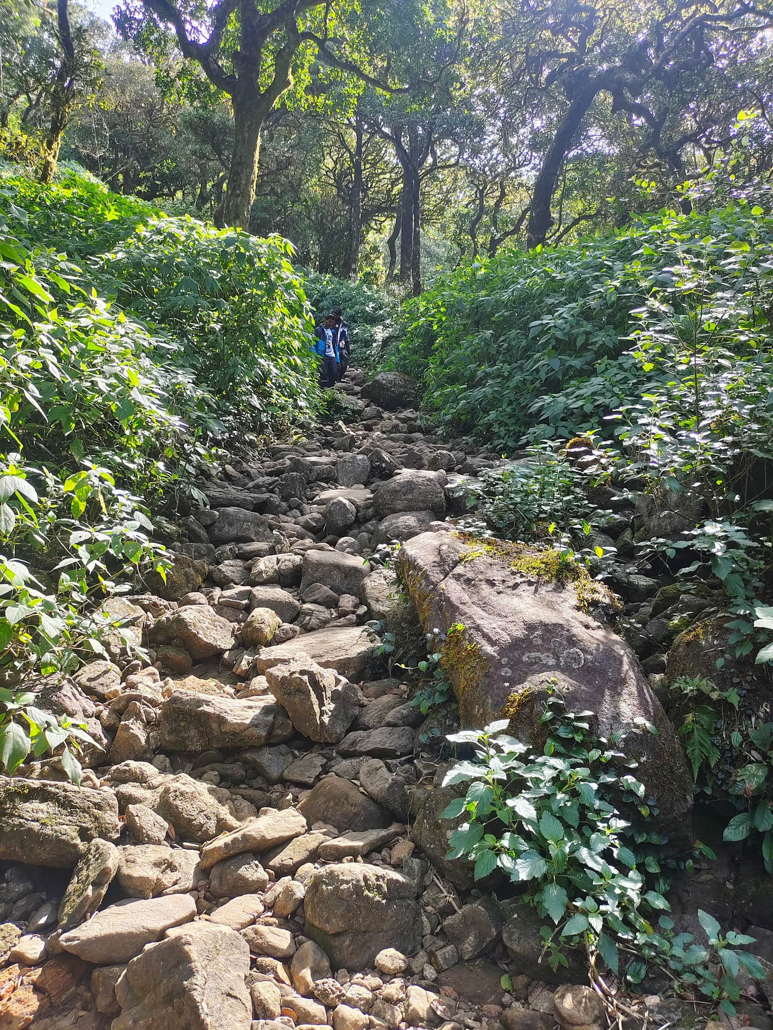 Photo from Shreyas C N's trip