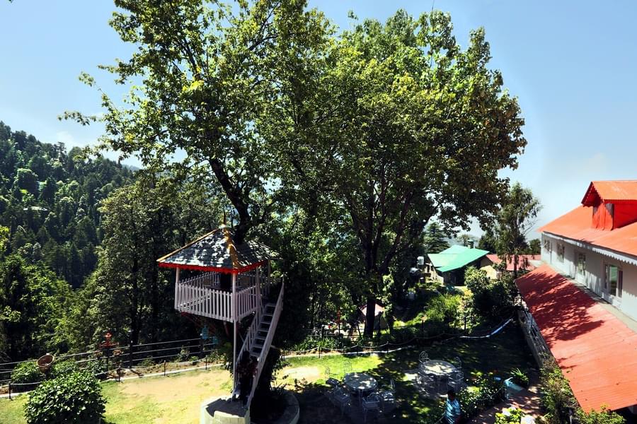 A Peaceful Homestay Overlooking The Hills of Dalhousie Image