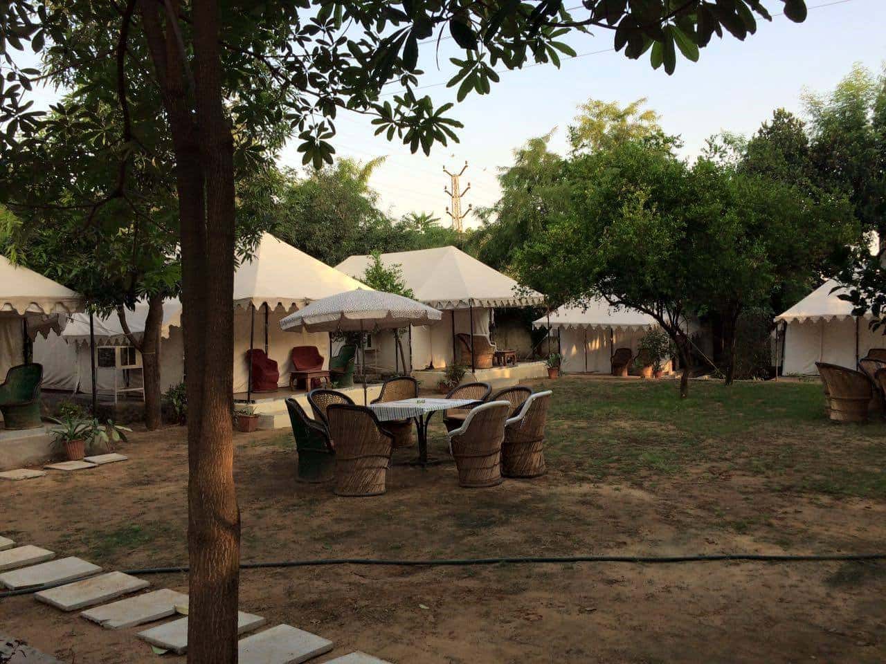 Sher Camp Ranthambore