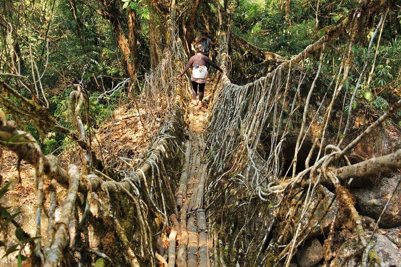 Living Root Bridge Trek