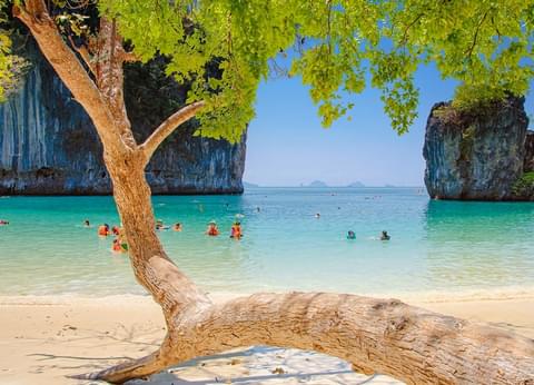 Activity & SightSeeing Image