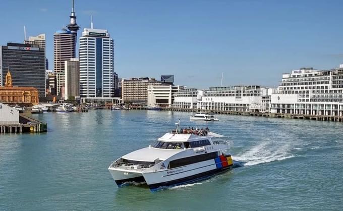 Auckland Harbour Cruise