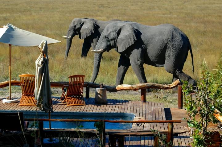 Botswana Safari Lodges