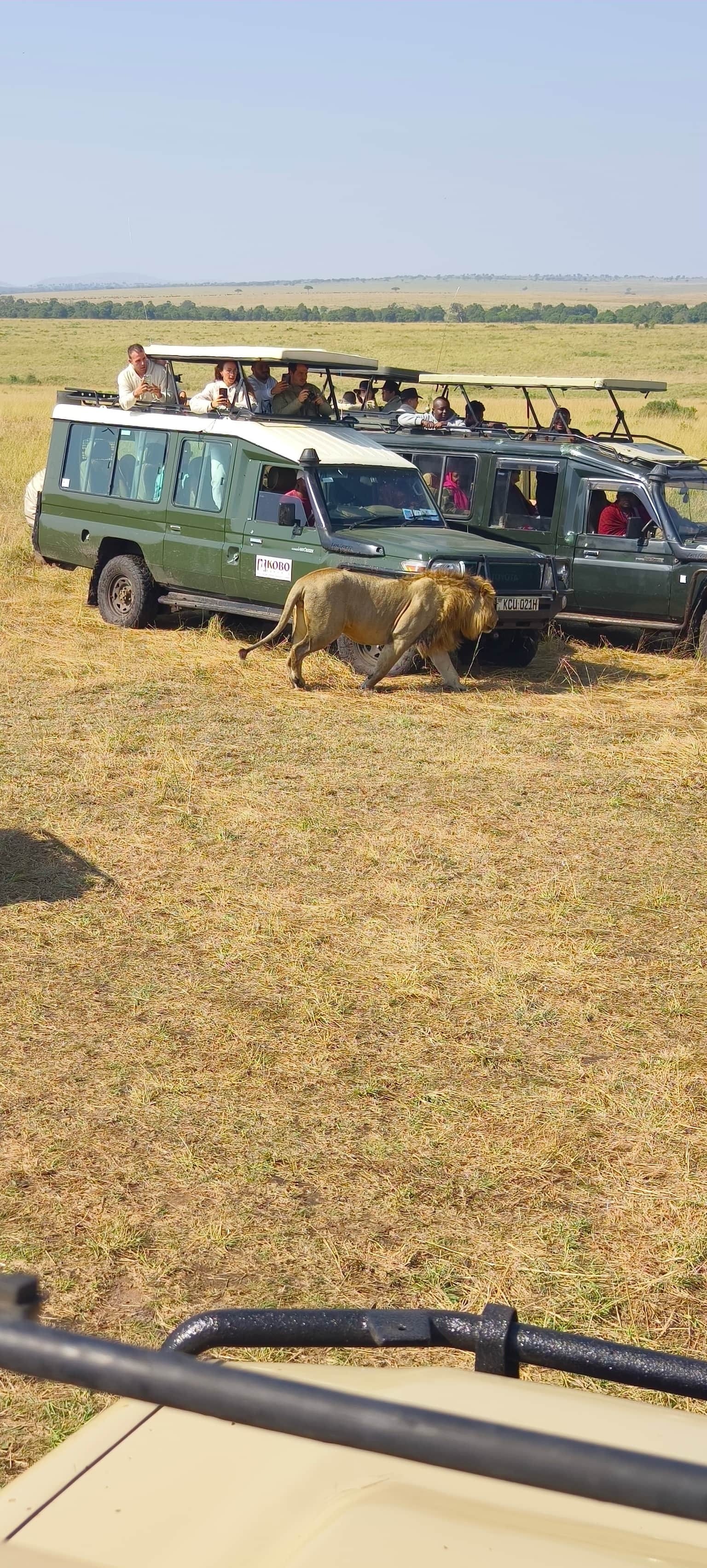 Photo from Avikal Mathur's trip