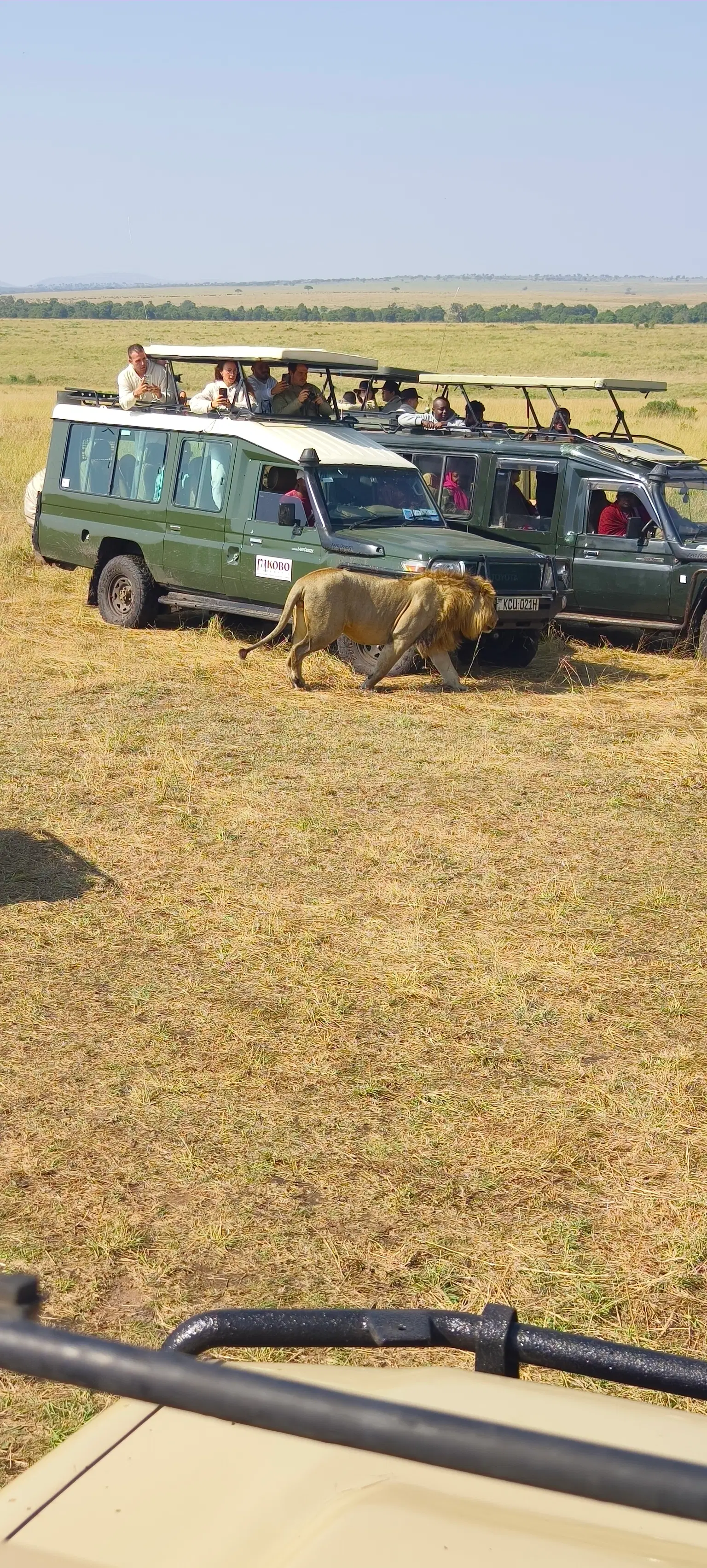 Photo from Avikal Mathur's trip