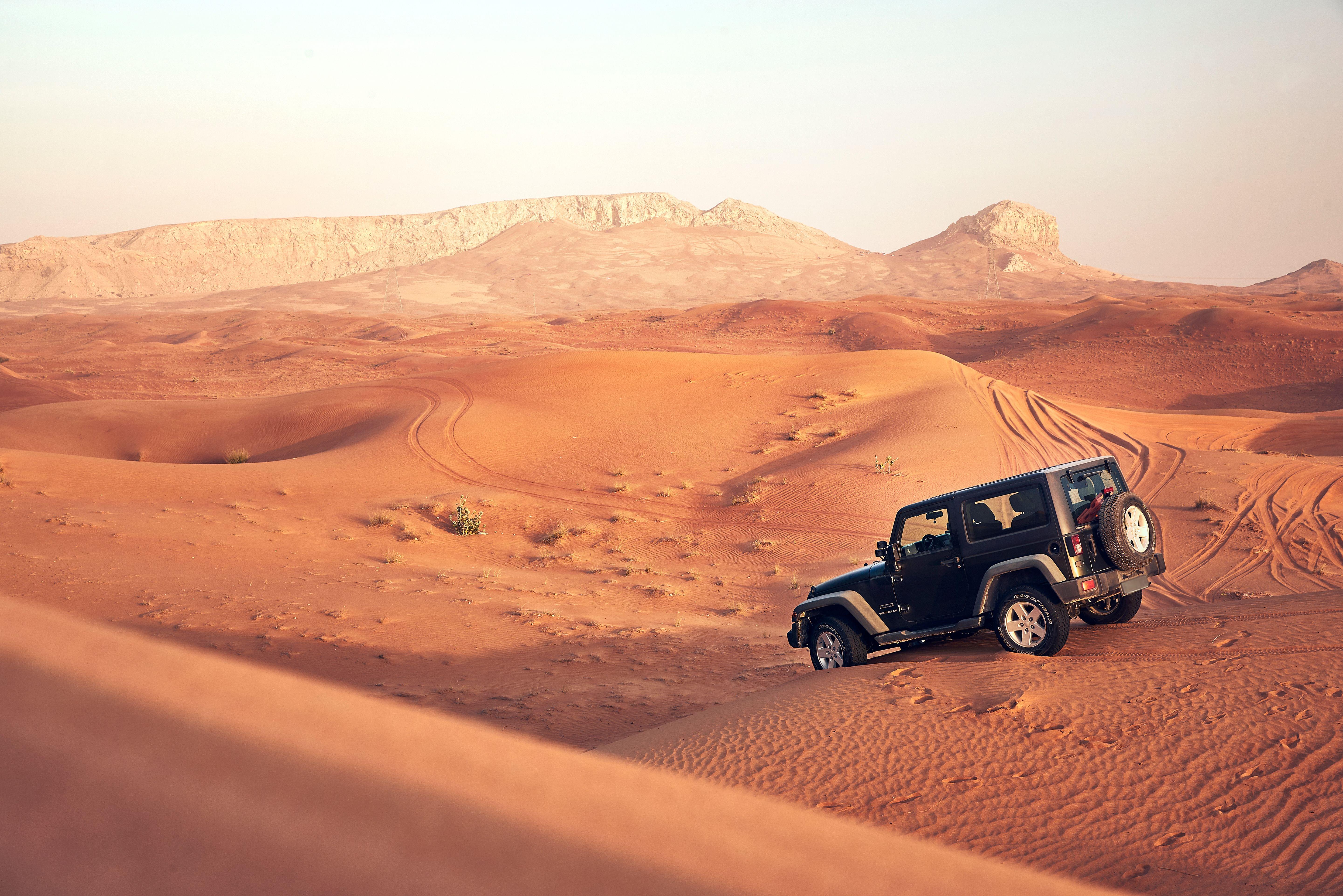 Morning desert safari in Dubai
