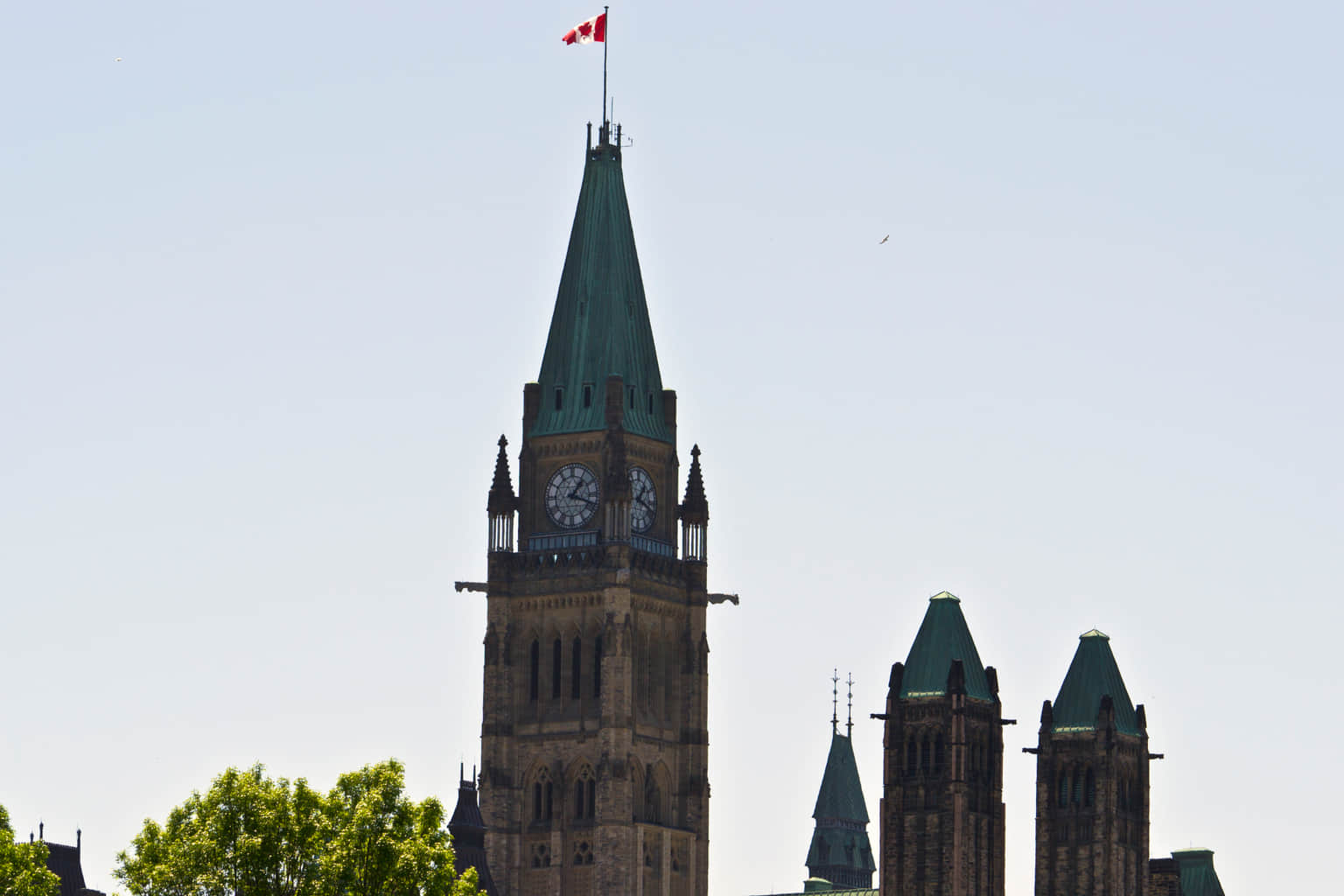 Visit the Peace Tower