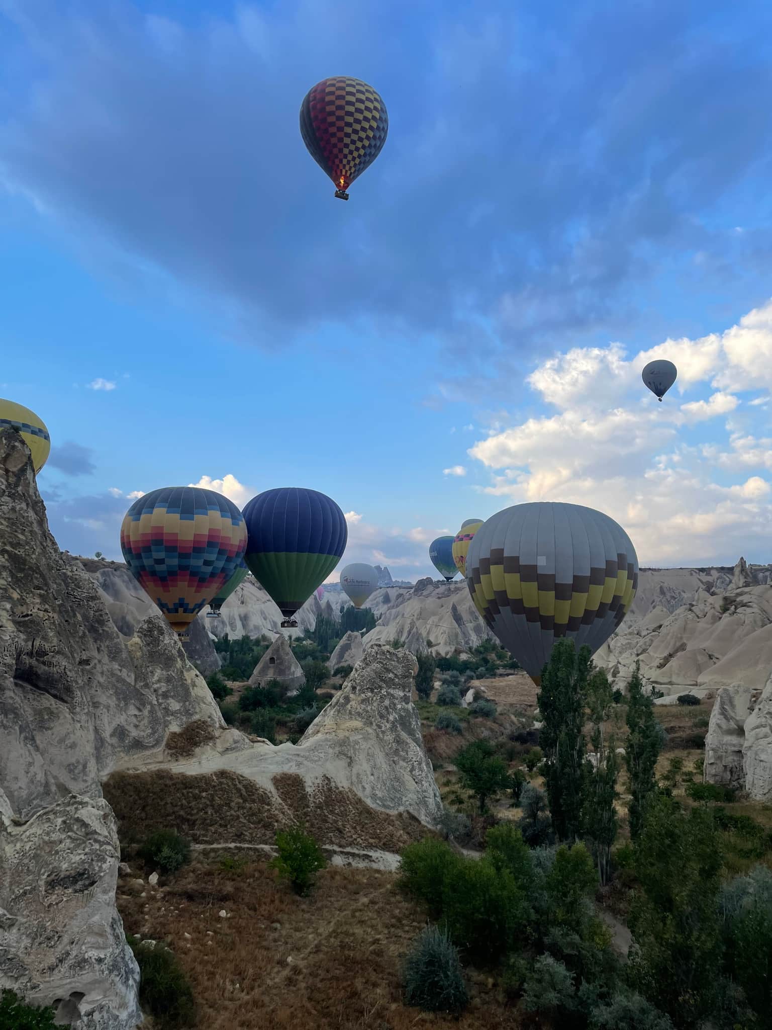 Photo from Rohan Singhi's trip