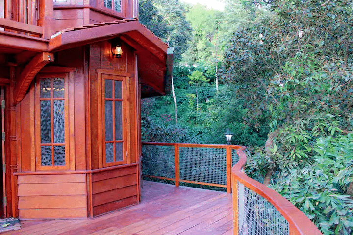 A Treehouse Amidst The Valley Of Coorg Image