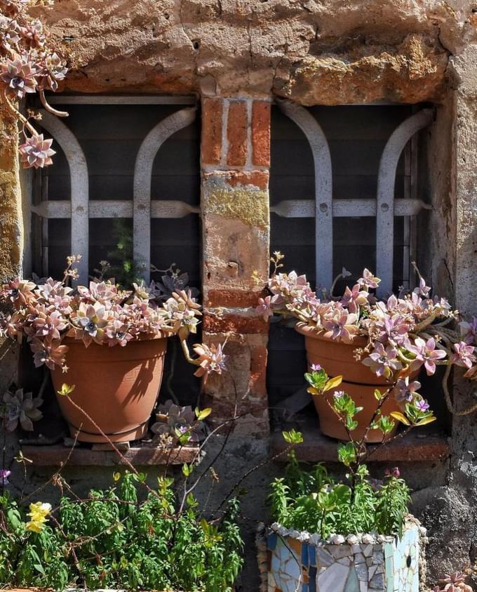 Gardens at Colonia Guell