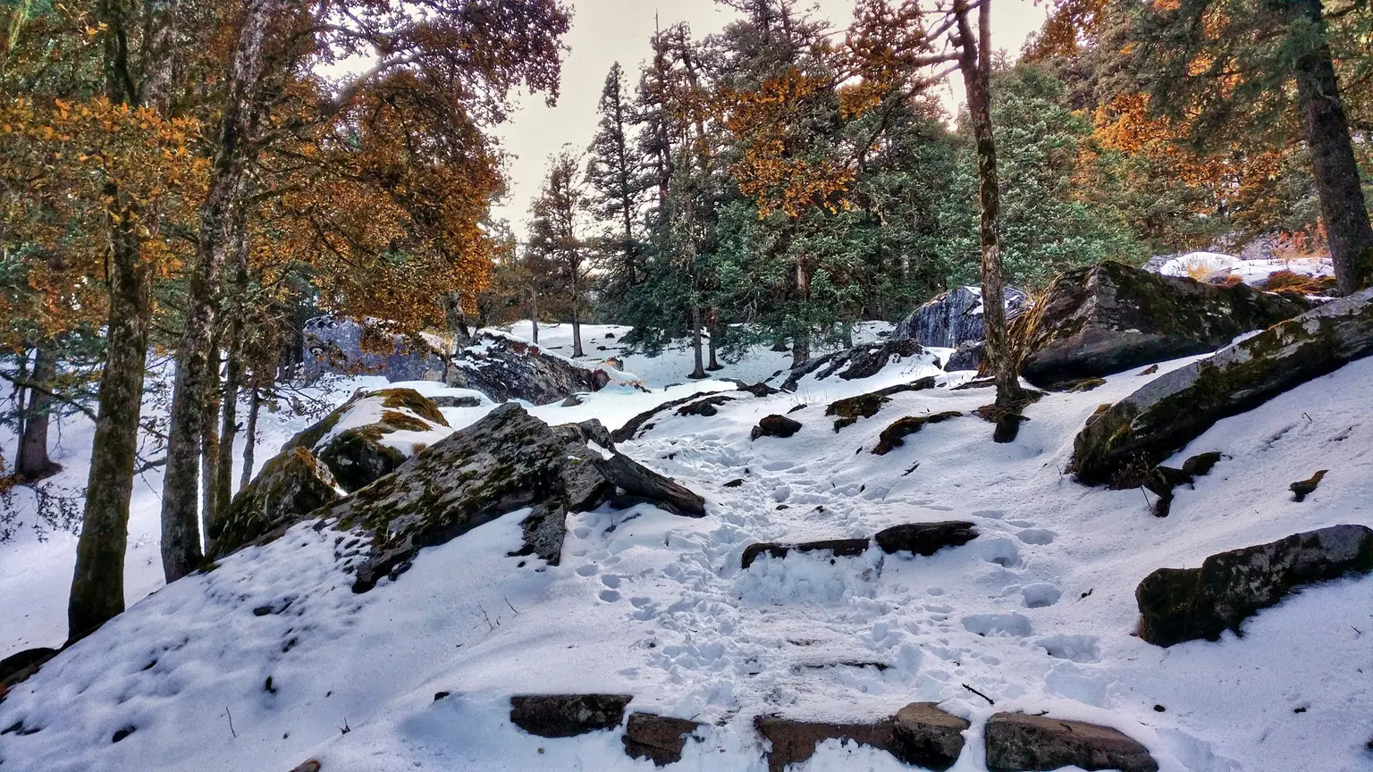 Photo from Shikhar Chauhan's trip