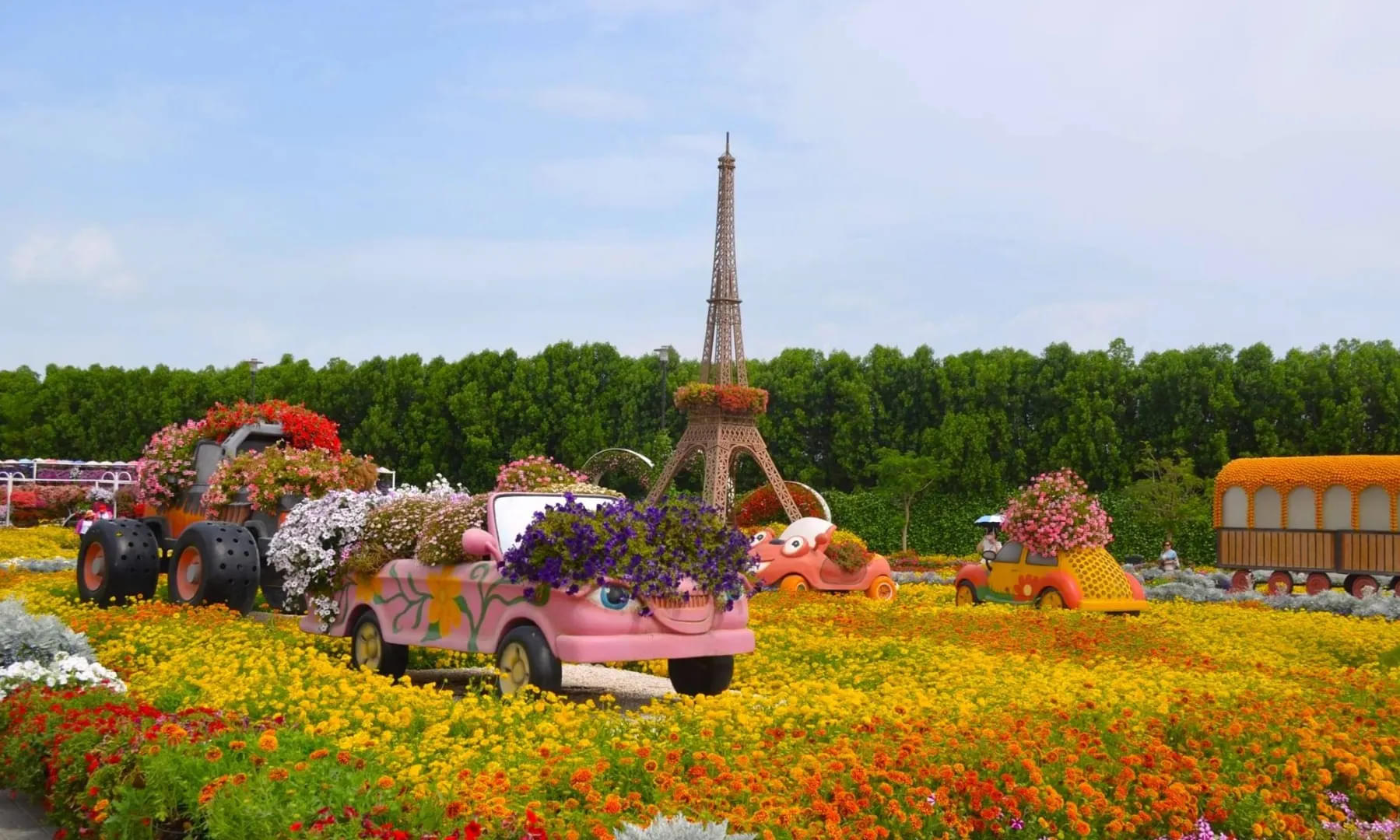 Be mesmerized by the beauty of miracle garden