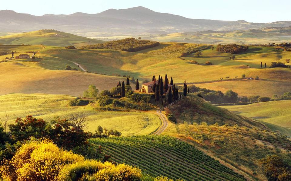 Tuscan Countryside Tour from Florence Image