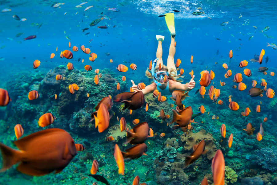 Kuramathi Maldives Resort Image