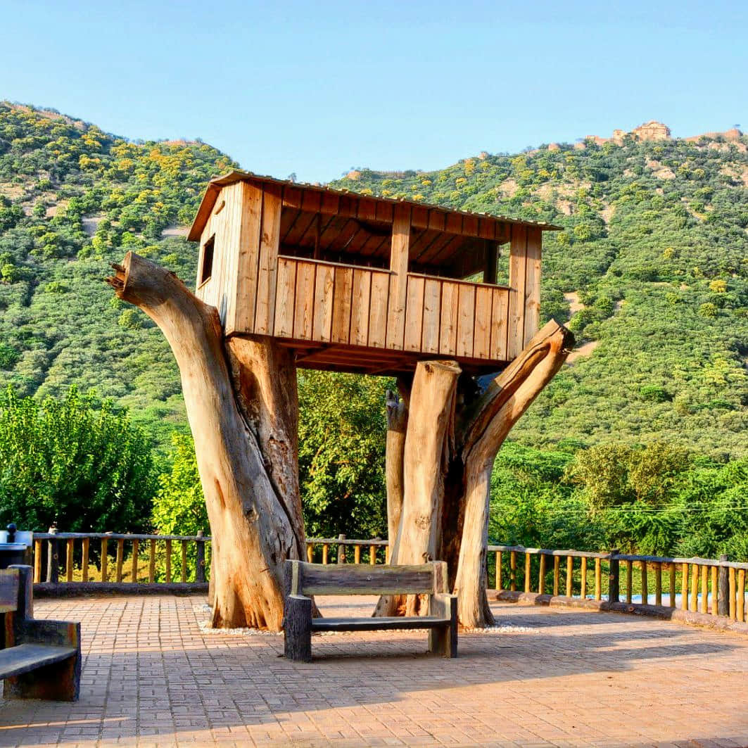 Biodiversity Park, <em>Alwar</em>