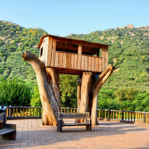 X4fppr8ccrokgwd2jknc64stg7pi 1603790897 biodiversity park