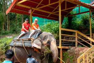 X4gefilszxva9b2a7so71cz91pu8 shutterstock 1276263232