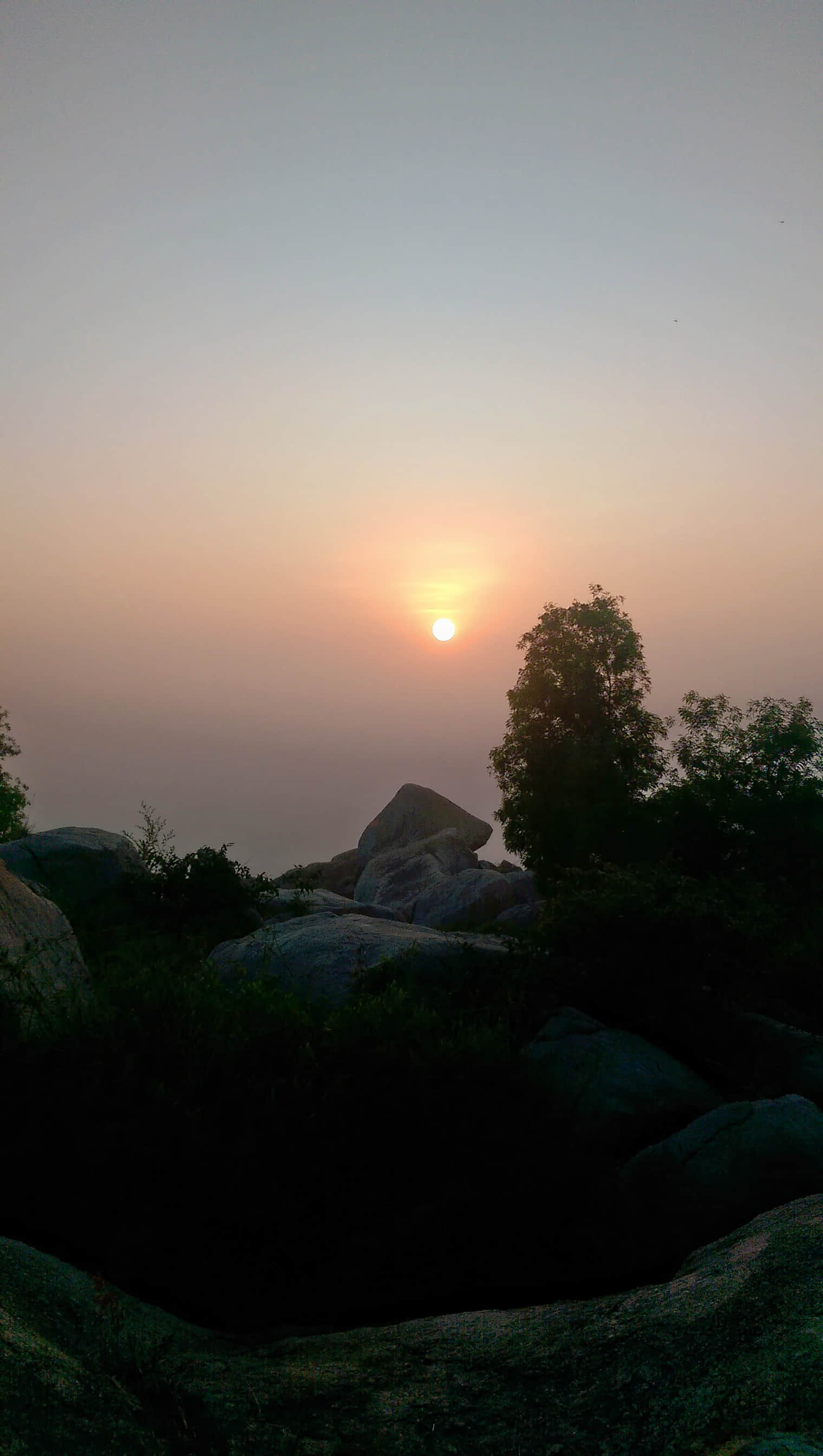Photo from Mahalakshmi Malini's trip