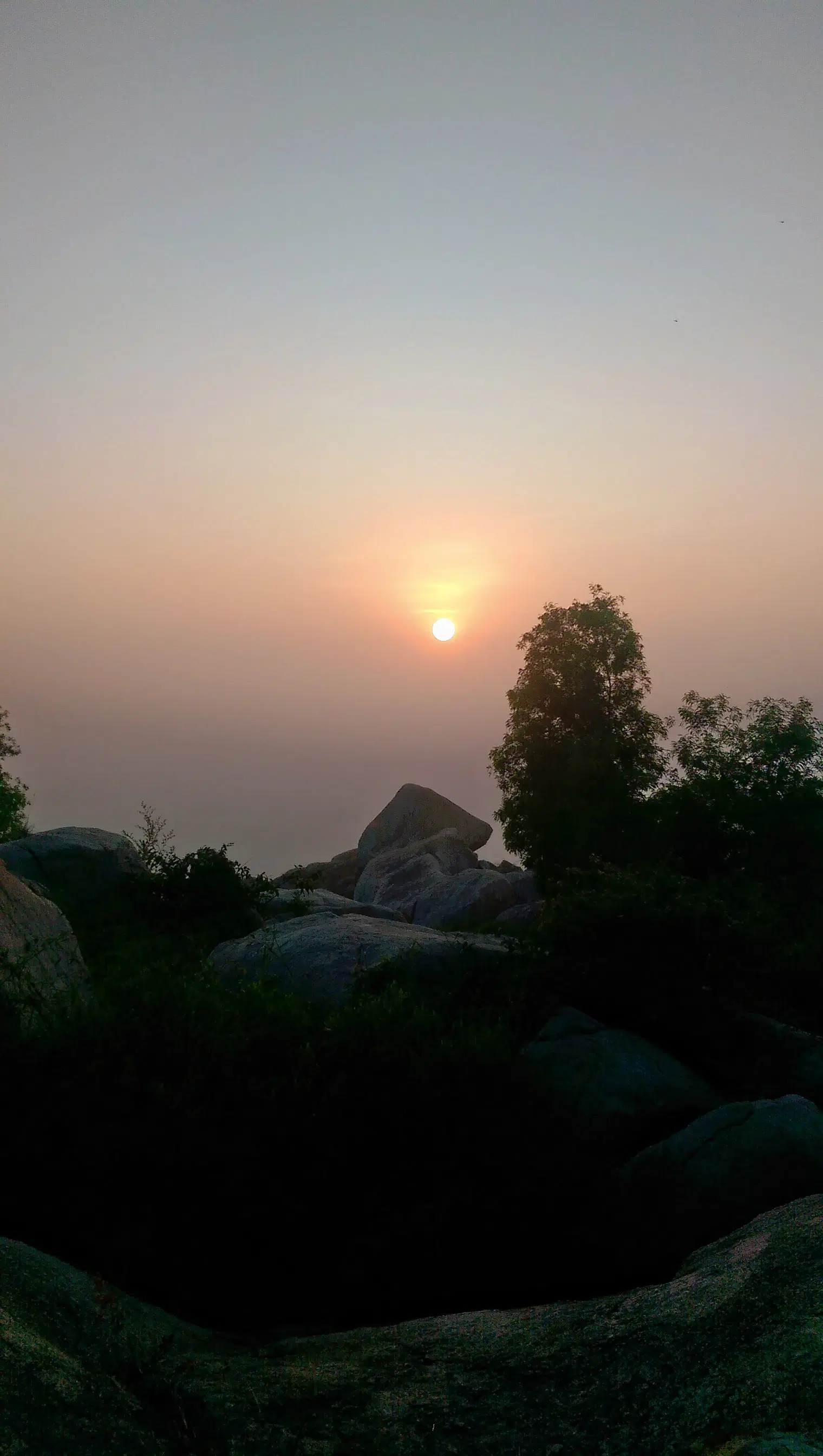Photo from Mahalakshmi Malini's trip