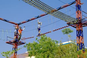 X4lnz88610416w2ufaec57m14n2p hanging net crawl at