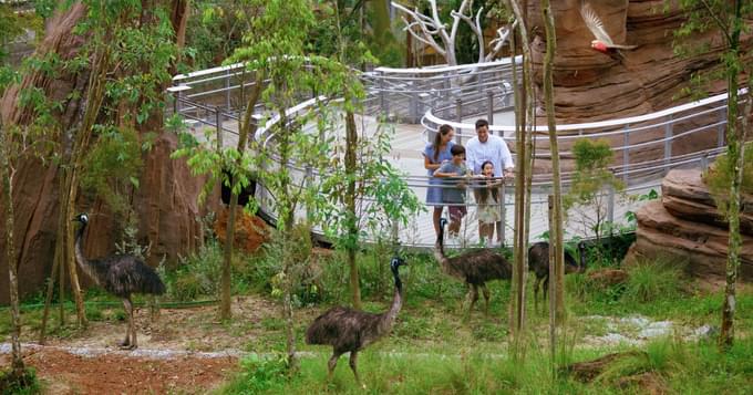 Shaw Foundation Australian Outback