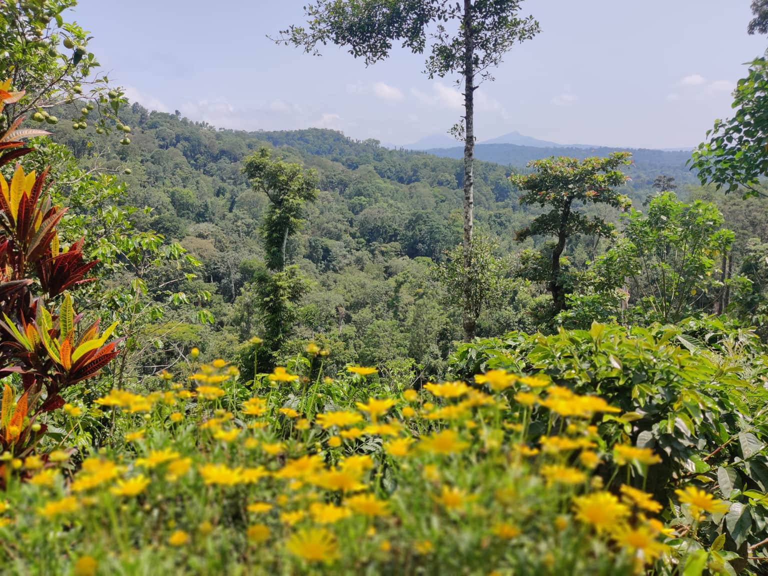Photo from Tamizh Tamizh's trip