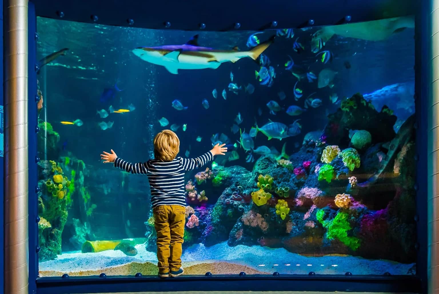 Sea Life Munich