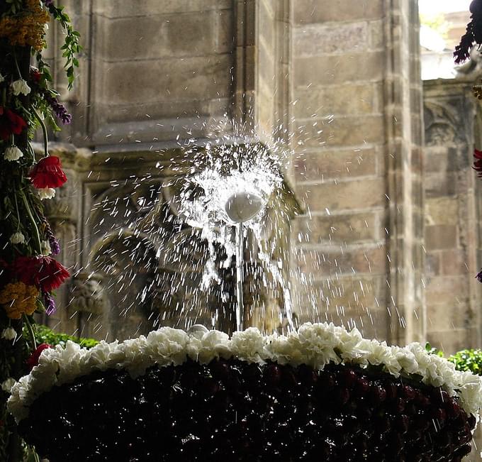 The Dancing Egg at Cathedral of Barcelona