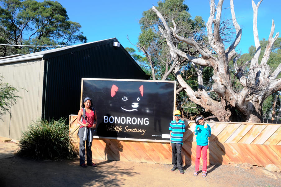 Bonorong Wildlife Sanctuary Tickets Image
