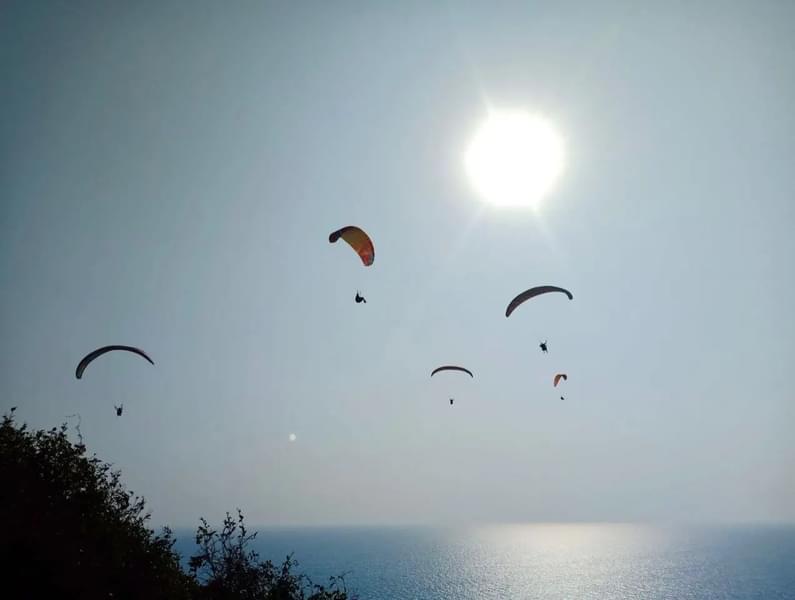 Paragliding in Goa at Arambol Beach Image