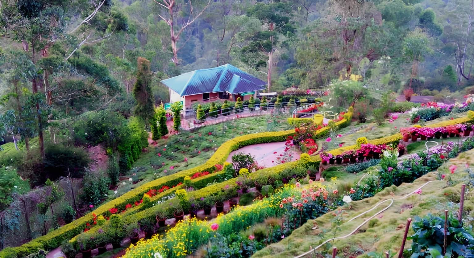 Rose Garden, <em>Munnar</em>