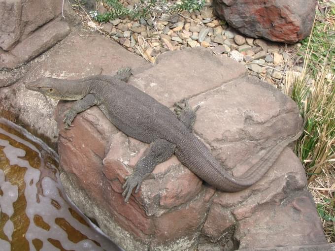 Mertens Water Monitor