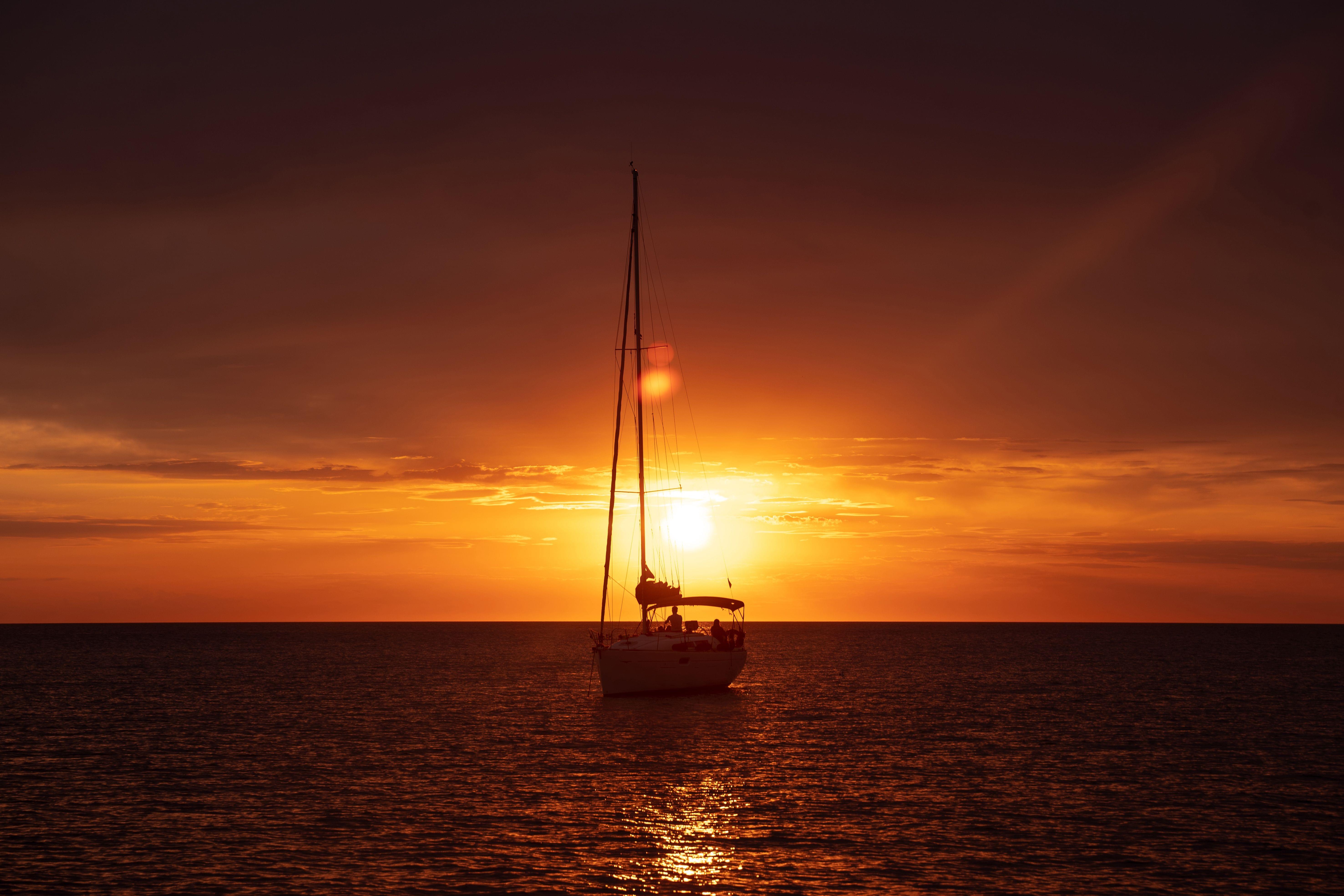 Royal Albatross Sunset Sail
