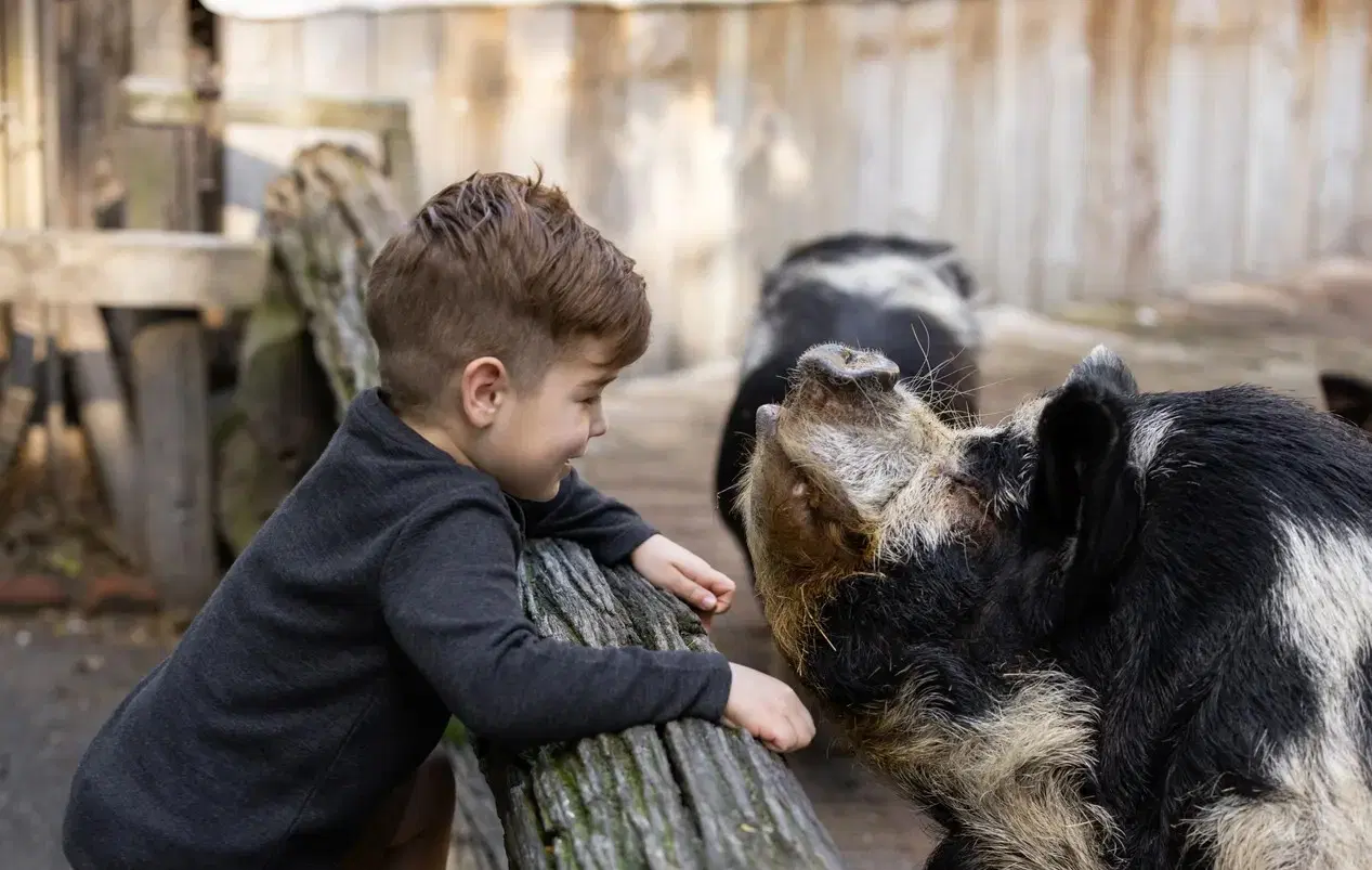 Visitors observing kiwi birds at Willowbank Wildlife Reserve